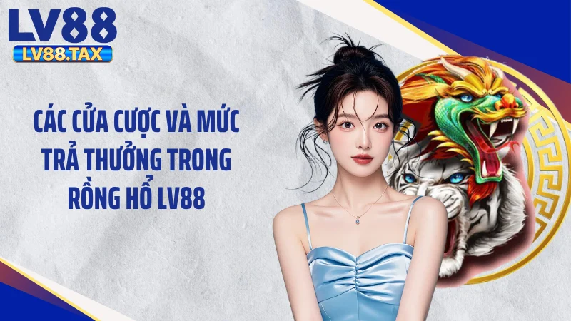 Rồng Hổ LV88 - Bệ Phóng Tài Lộc Đỉnh Cao Năm 2026 5 Các cửa cược và mức trả thưởng trong rồng hổ LV88
